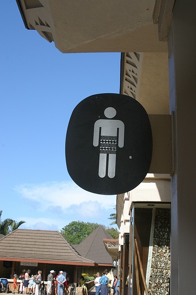 Туалет в центре полинезийской культуры. Жми на картинку для перехода к следующей.