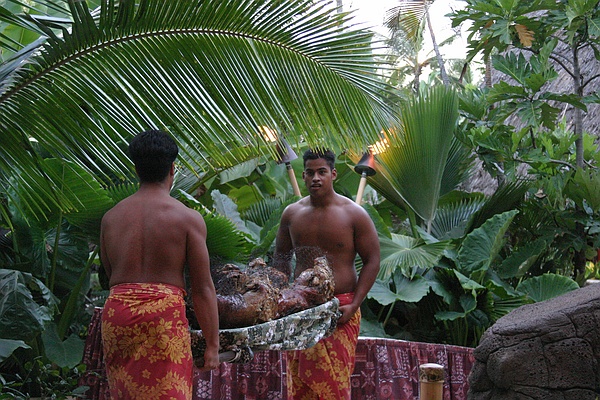 Луау в полинезийском культурном центре. Жми на картинку для перехода к следующей.