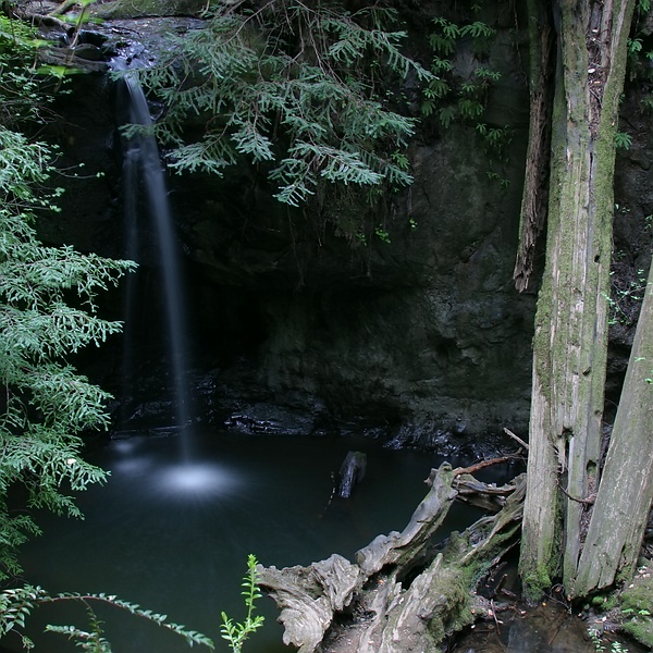 Big Basin State Park. Click the image to continue.