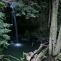 Big Basin State Park