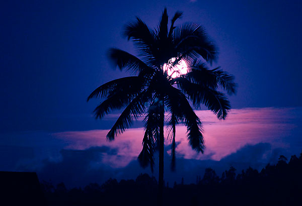 Восход луны над островом. Жми на картинку для перехода к следующей.