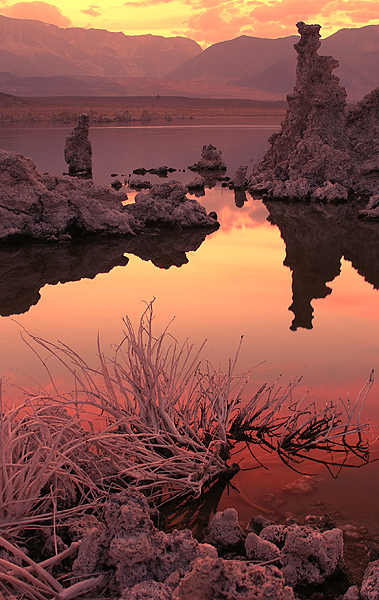 South Tufa, Mono Lake, CA. Click the image to continue.