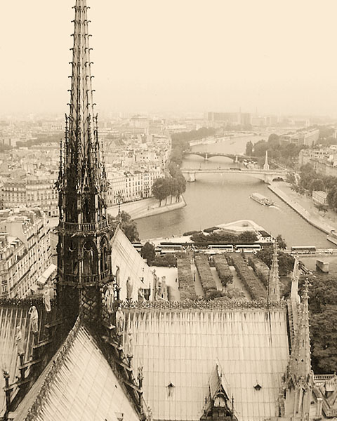 Paris depuis les tours Notre Dame. Click the image to continue.